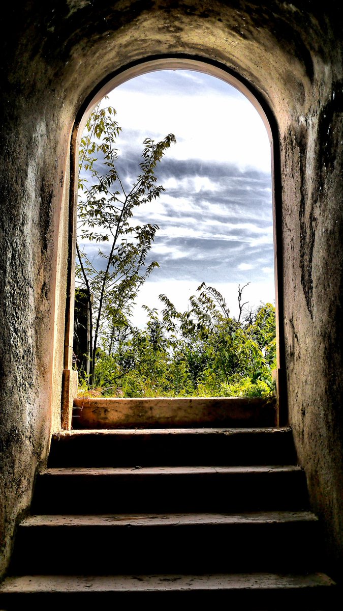 JosePaivaWolff's tweet image. Escada para o ar livre

Da sombra para a luz. Pedra, silêncio e um arco que respira.

#Urbex #Decay #PortugalAbandonado #ExploraçãoUrbana #Photography #CanonR5MarkII