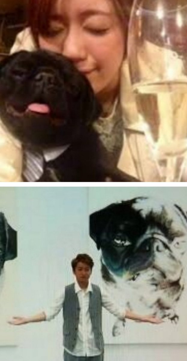 あーぁ tweet media