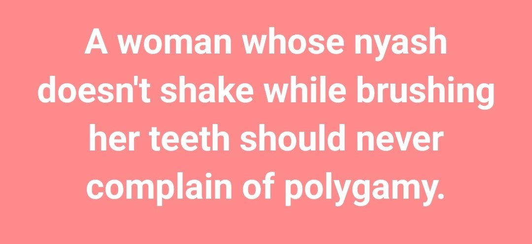 𝐓𝐈𝐌𝐎𝐓𝐇𝐘 tweet media