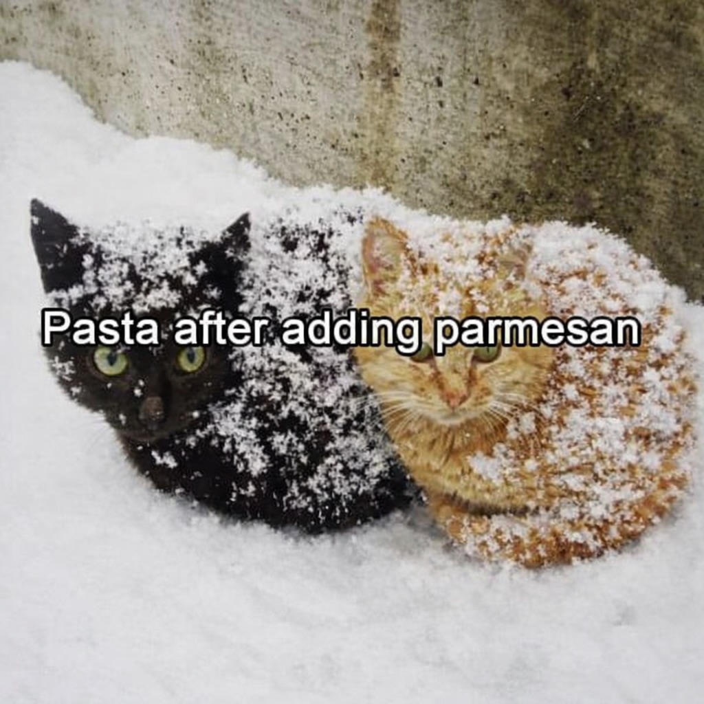i like food tweet media