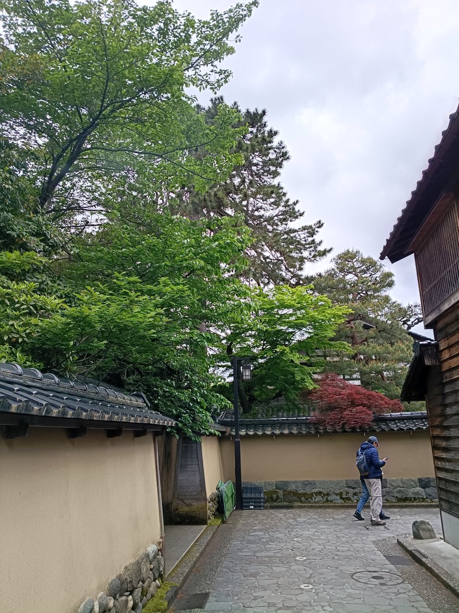 ニュー速 tweet media
