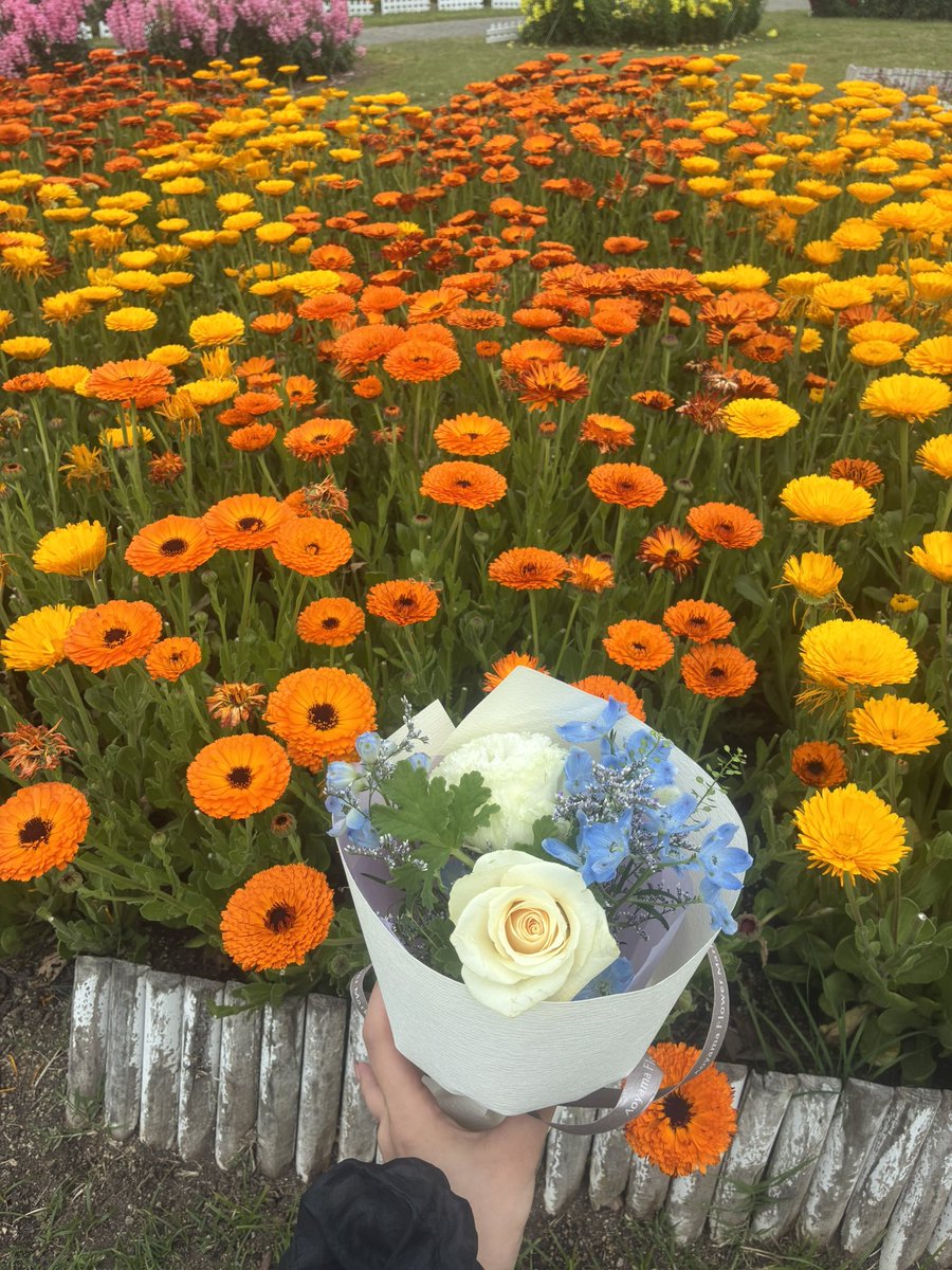 7sf2t's tweet photo. お花綺麗だった💐 https://t.co/QrbaAWXPvb