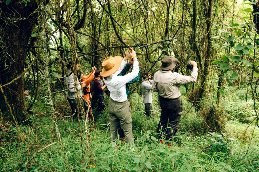 Greenway256's tweet image. This Is Not Just a Safari. It’s a Feeling
You wake up to the sound of nature. No alarms. No noise, just the wild. A few hours later, you’re standing face to face with a mountain gorilla in Bwindi Impenetrable Forest NP
greenwaynaturetours.com
#VisitUganda #UgandaSafari