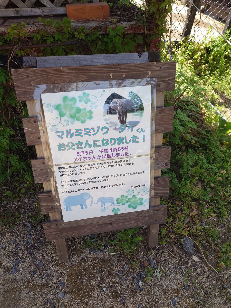 ずけもの tweet media