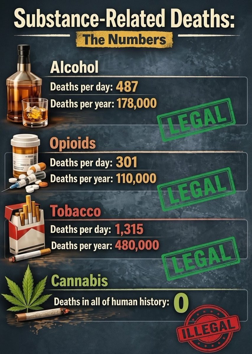 Artek Swaróg🌿💨🇵🇱 tweet media