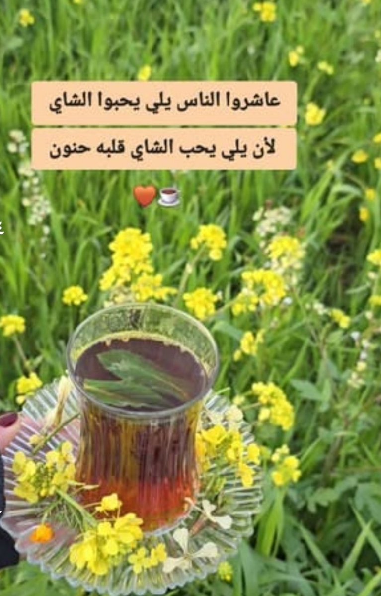 deana melad tweet media