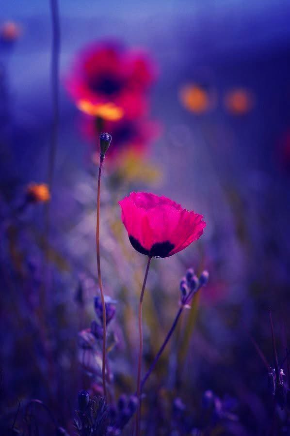 MaikoKardava's tweet photo. Sometimes angels don't have wings, they show up as kind people, gentle words, or helping hands. They arrive right when you need them, reminding you you're never alone. https://t.co/wn7SRMa951