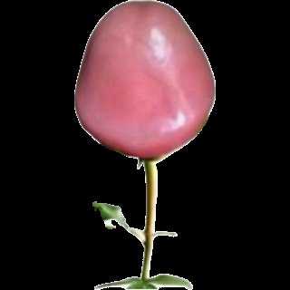 Mr Visionary 》 tweet media