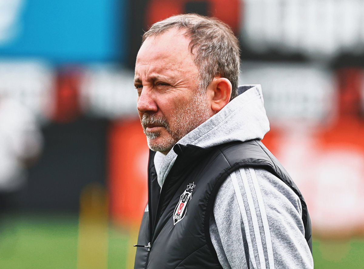 Ağaçlı Yol tweet media