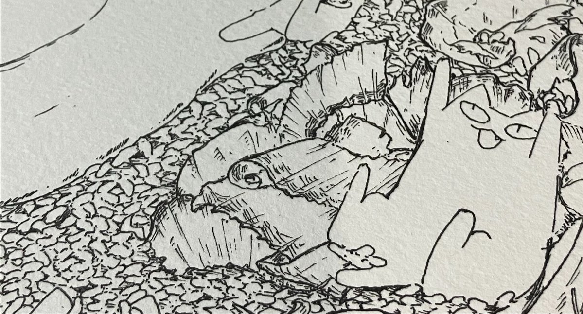 くまきち (@Kuma_00_Sh) / Posts / X