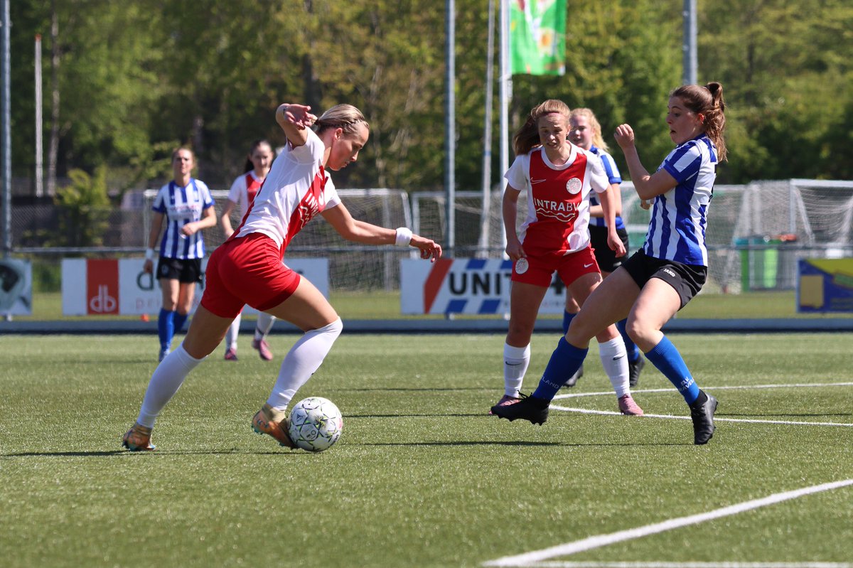 IJsselmeervogels tweet media