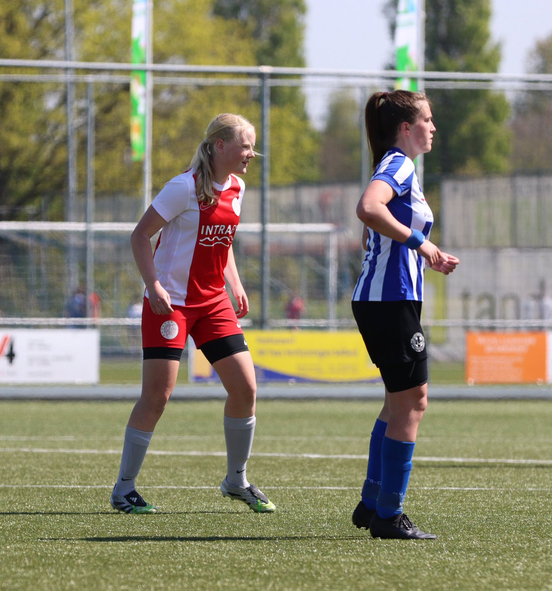 IJsselmeervogels tweet media