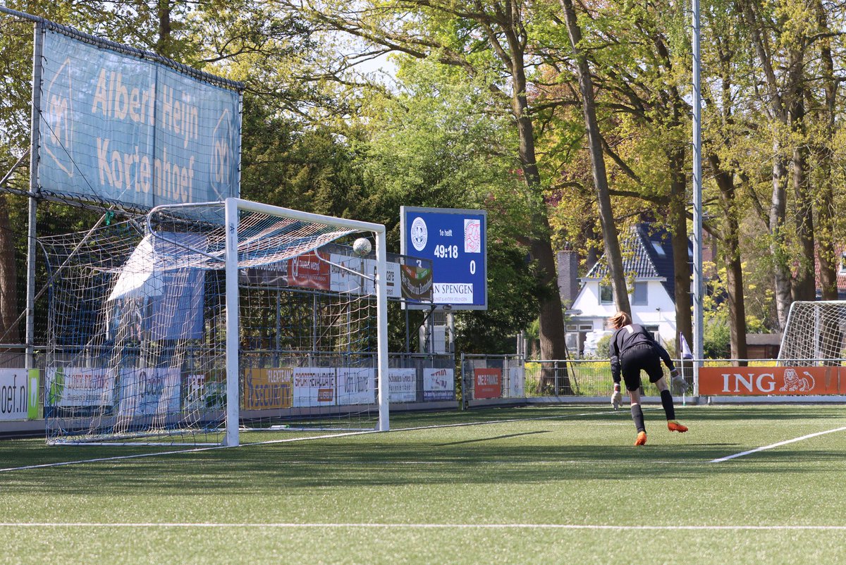 IJsselmeervogels tweet media