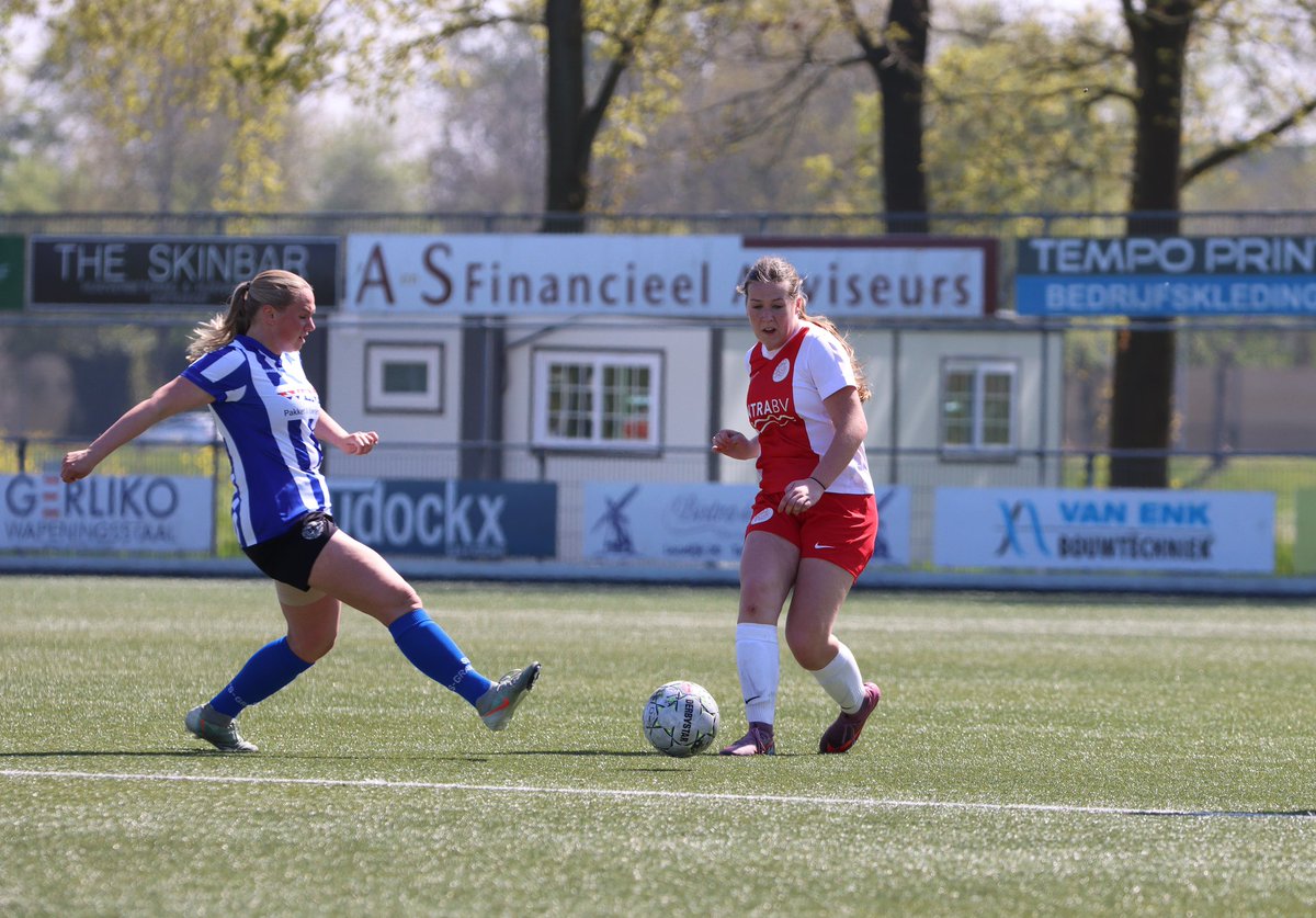 IJsselmeervogels tweet media