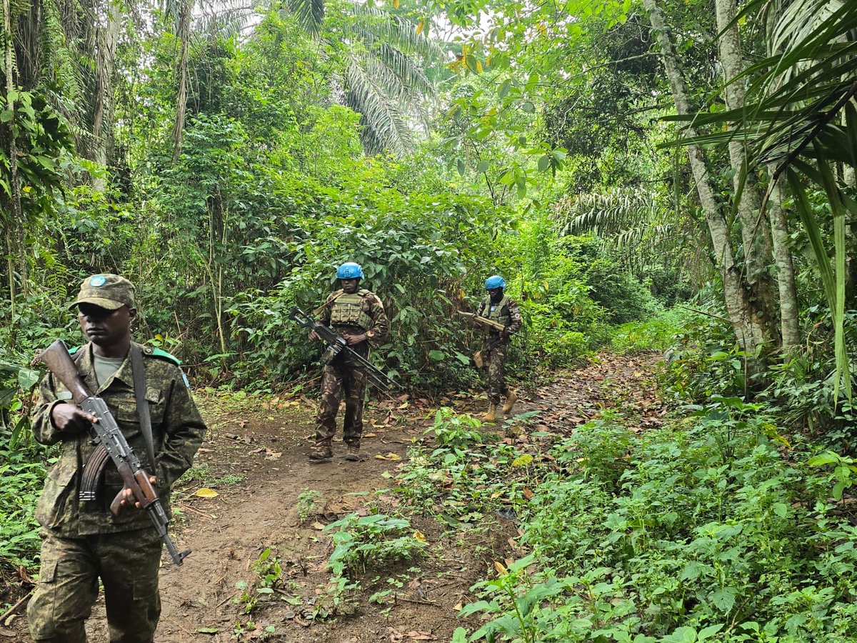MONUSCO tweet media