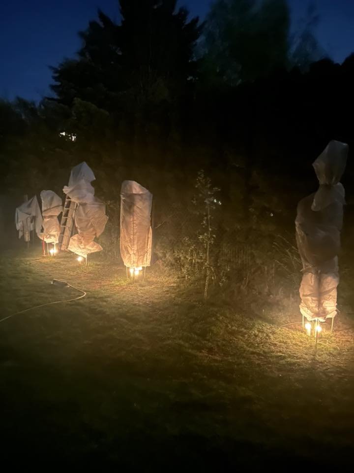 SOB_pl's tweet image. Sadownicy i ogrodnicy na radzą sobie na różne sposoby z przymrozkami. Na zdjęciu widoczny jest jeden z nich.
fot. Witold Prusinkiewicz
@MeteoprognozaPL @NaGraHo 
#obserwatorzyburz #pogoda #polska #przymrozek #mróz #wiosna