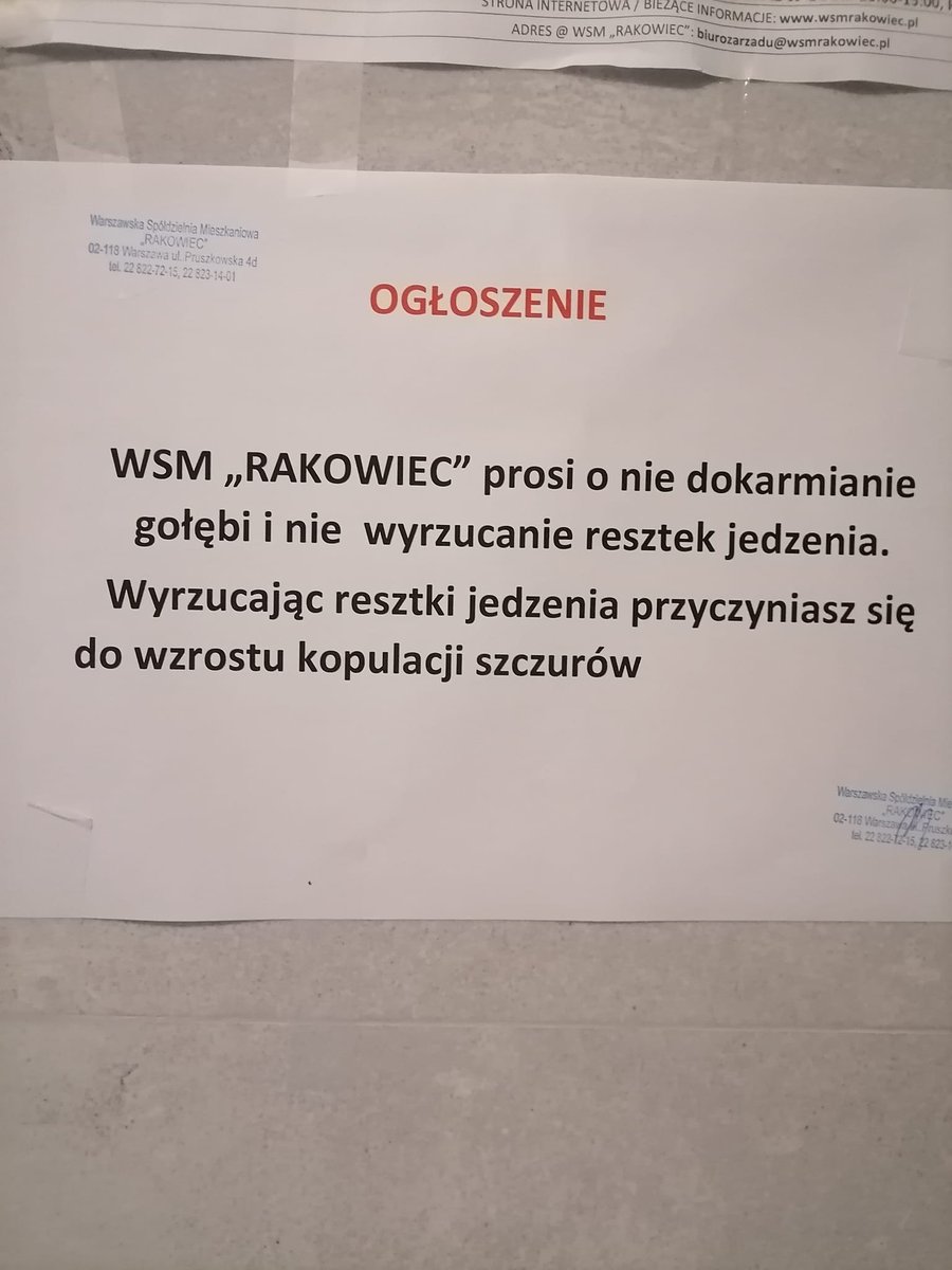 Eric 🇵🇱 tweet media