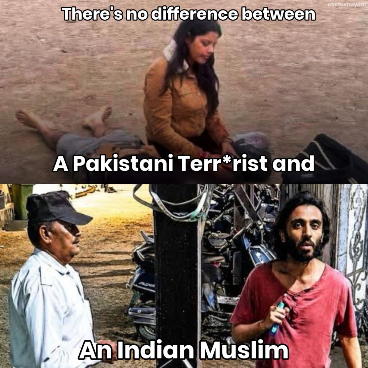 whatever 🌵 tweet media