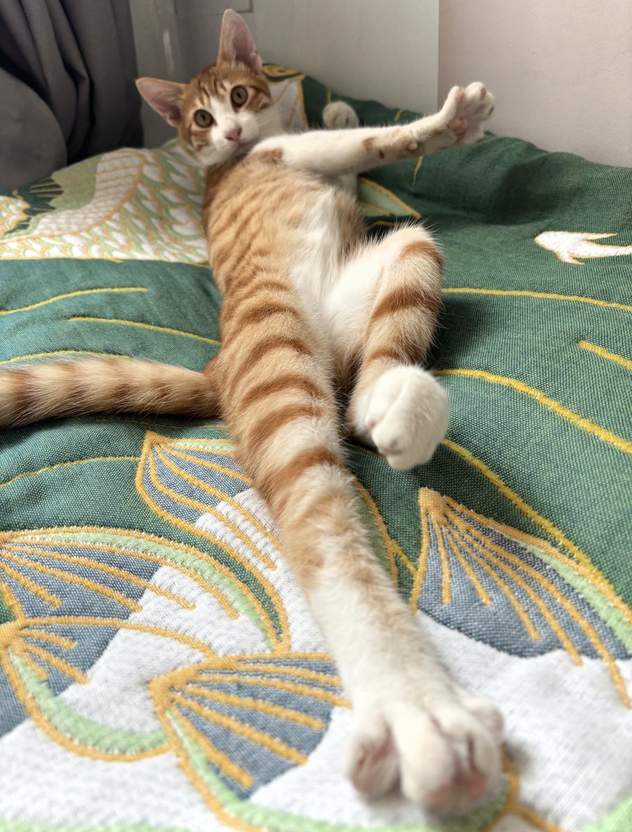 Kathleen tweet media