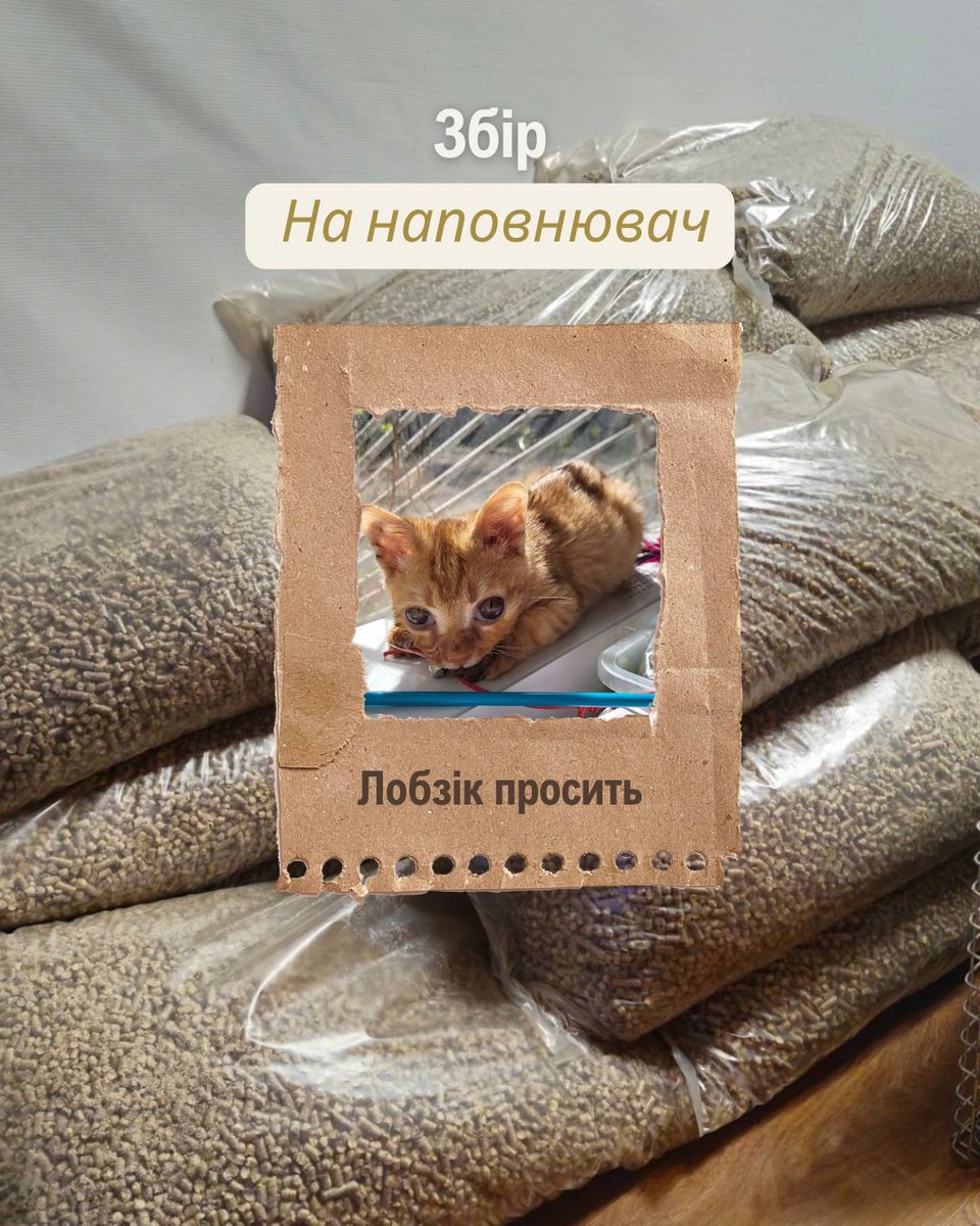 Купуємо дерев'яний наповнювач для котячих лоточків, розходиться швидше, ніж кава в понеділок зранку, без нього ніяк
Запаси тануть регулярно, тому ваша підтримка незамінна і необхідна🫶🏼

1 тонна з доставкою та розгрузкою, запас на 2.5 міс 15500 грн

Будемо вдячні за допомогу, адже