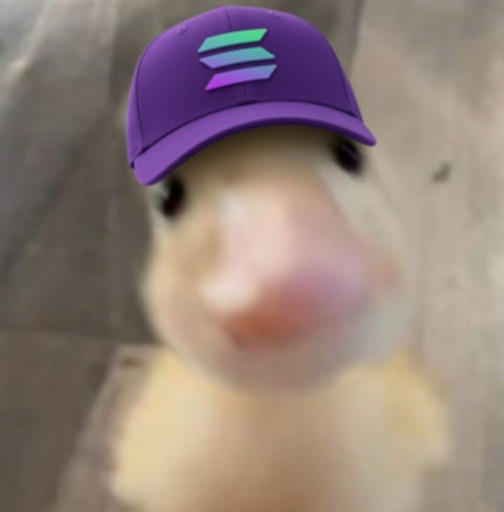 ducksawce tweet media