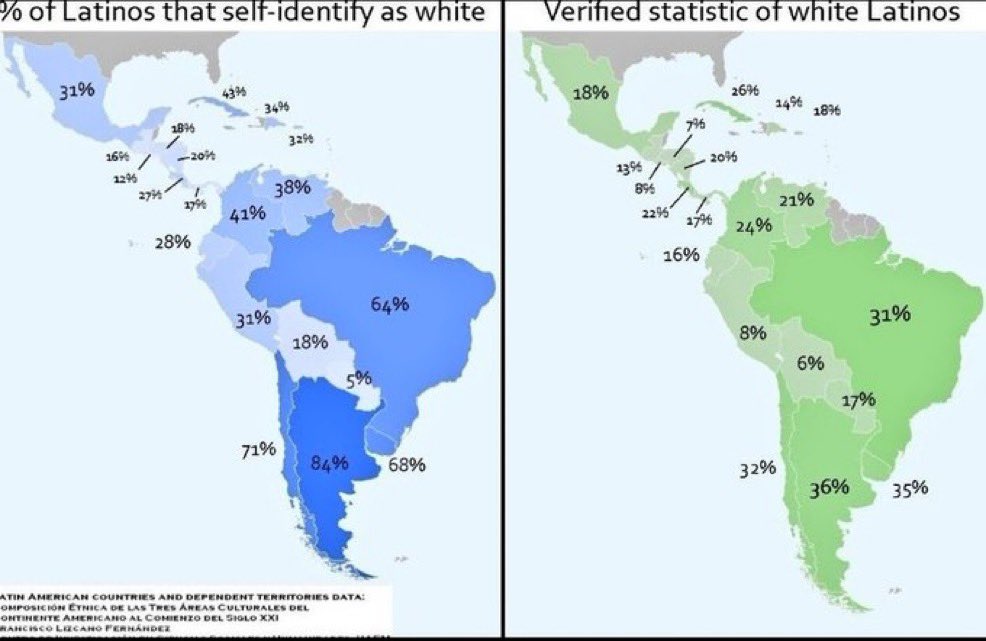 Scythian VI. tweet media