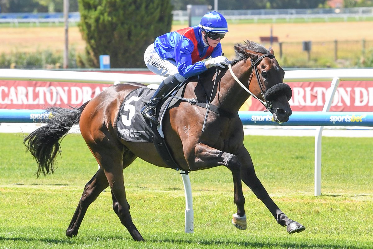 Racing NSW tweet media