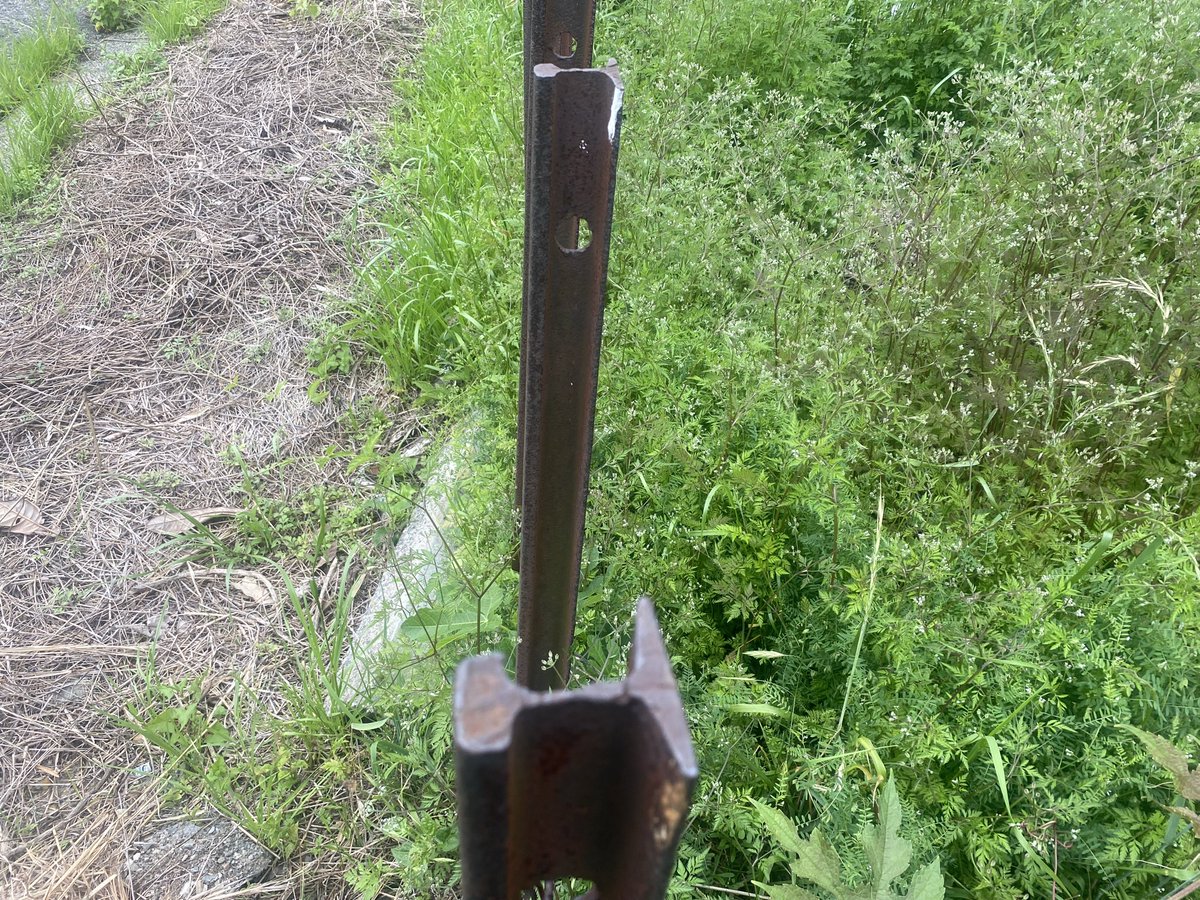 マフラー巻き tweet media