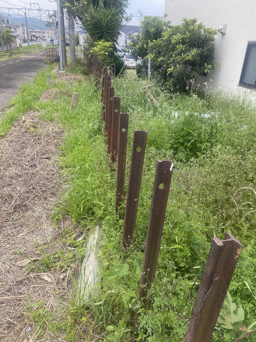 マフラー巻き tweet media