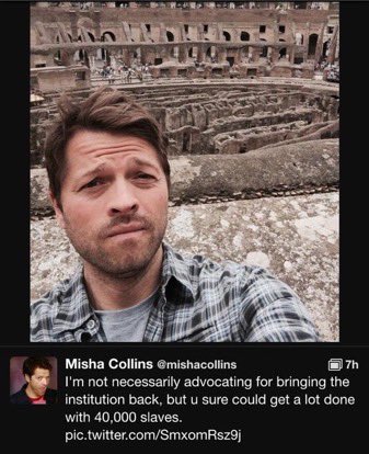 appeased sammy 🍸 tweet media