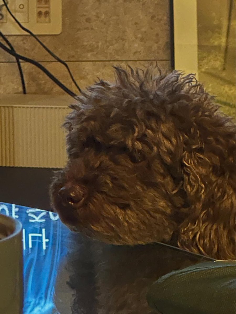 KaPoHo1's tweet image. w_n_r00 IG post on 29042026

#위너 #WINNER #강승윤 #YOON 
#KANGSEUNGYOON #YooYeon #PAGE2 #ME
@official_yoon_
@yg_winnercity

instagram.com/p/DXs3YRtk08V/…