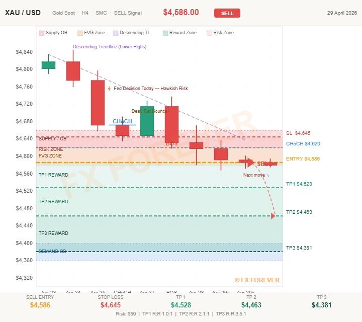 Fantastic Forex tweet media