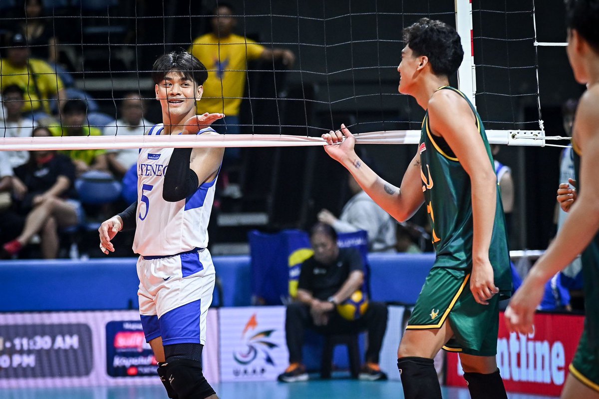 animoSpike tweet media