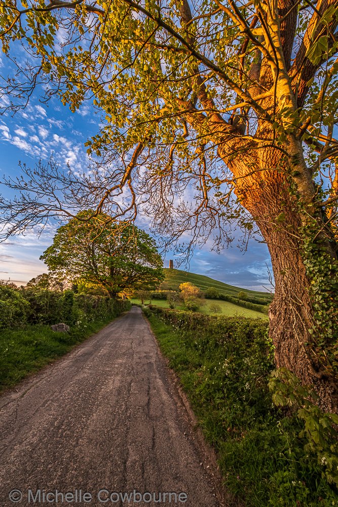 Michelle Cowbourne tweet media