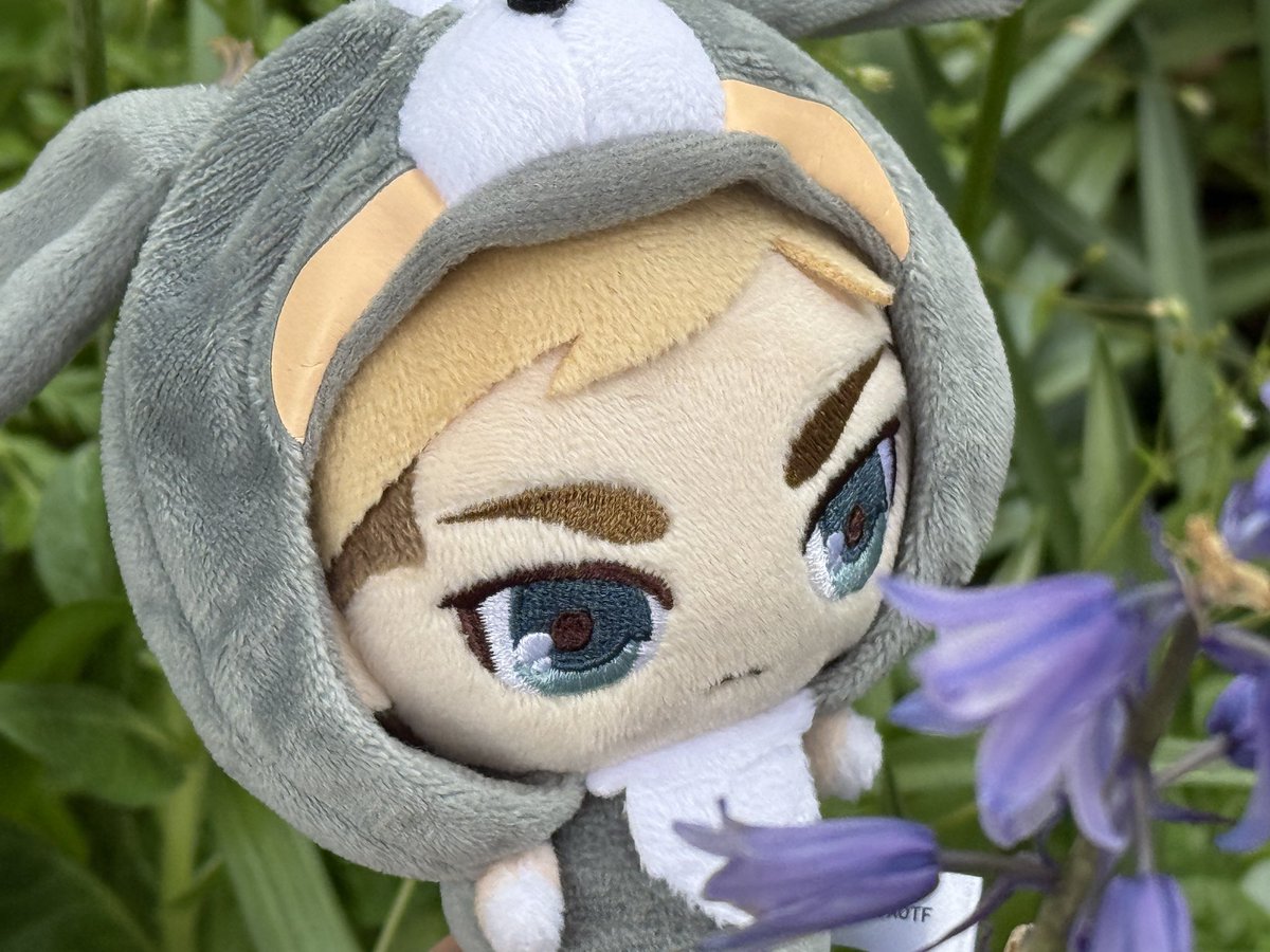 ぺるまる tweet media