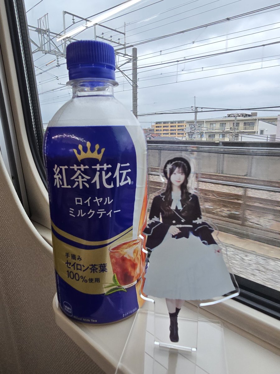 でぶりあす(◜𖥦◝) tweet media