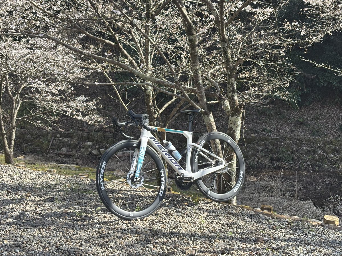 Klyberpubg's tweet photo. My Bike
MERIDA Reacto4000 https://t.co/X94AVZskzJ