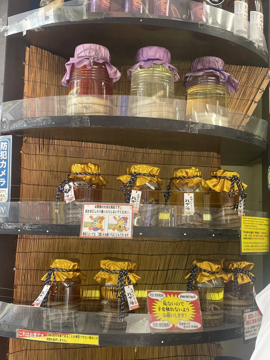 すぷりっと_ 𝓥(sprit) tweet media