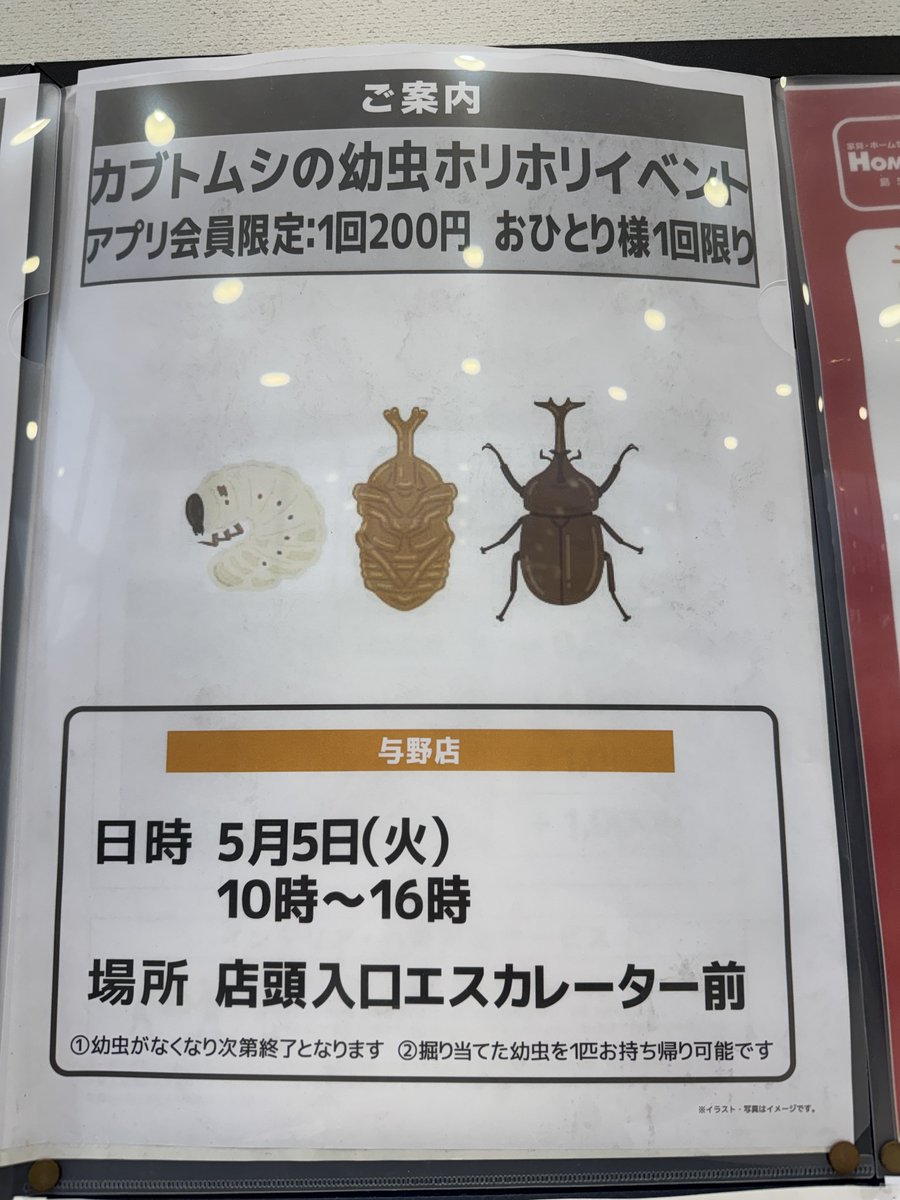 キタマク tweet media