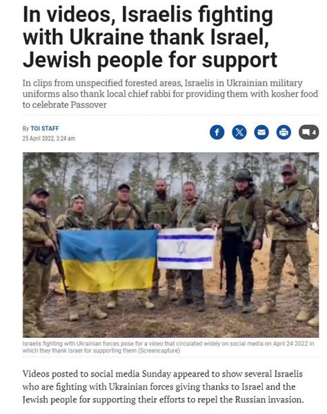 Ethan Levins 🇺🇸 tweet media