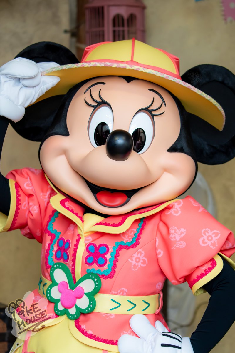 mick_mick_mouse's tweet photo. 完全に一致マウス https://t.co/sC7rTMk4DU