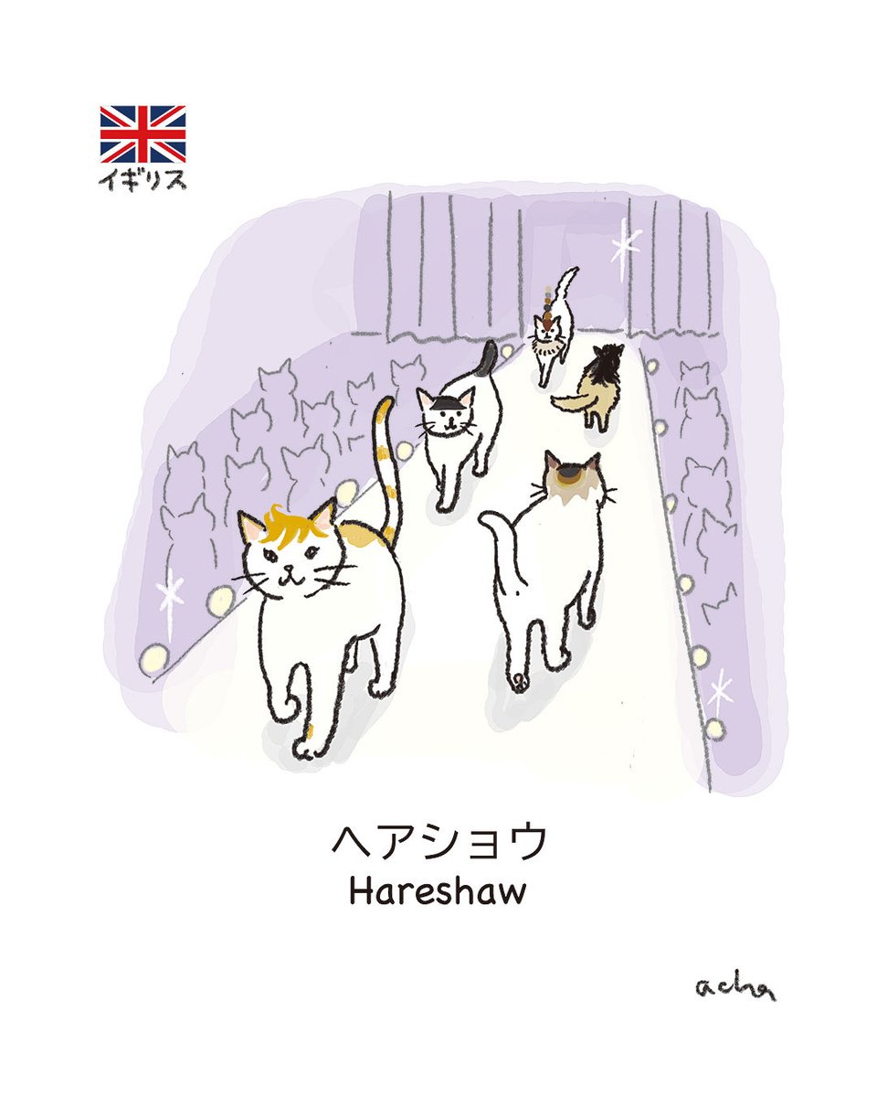 ねこめん tweet media