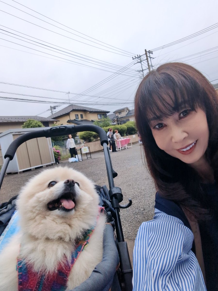 まえだ広子／ふじみ野市議会議員＼ tweet media