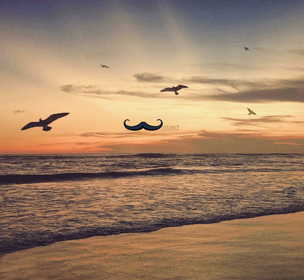 fiaz_ans's tweet image. مدت بعد کسی کا فون آیا، کھنکتی آواز نے کہا، ہر وقت غصے میں کیوں رہتے ہو؟
 ہلکی سرد شام کوئی ایسے بھی جیا کرتا ہے؟
باہر لان میں بیٹھو پرندوں کی آواز سنو، اس وقت خبریں نہ دیکھا کرو، اپنے آپ سے بات کرو اپنے آپ  کو سنا کرو
نصیحت پر عمل کیا اور یقین جانیں کہ جنت یہی ہے
#love
#na
#اردو