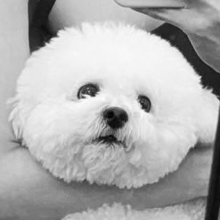 kyonseo's tweet photo. 청학동 머리에도 살아남는 엄마랑 그냥 동글이 딸랑구 https://t.co/Qn4QUP1r7q