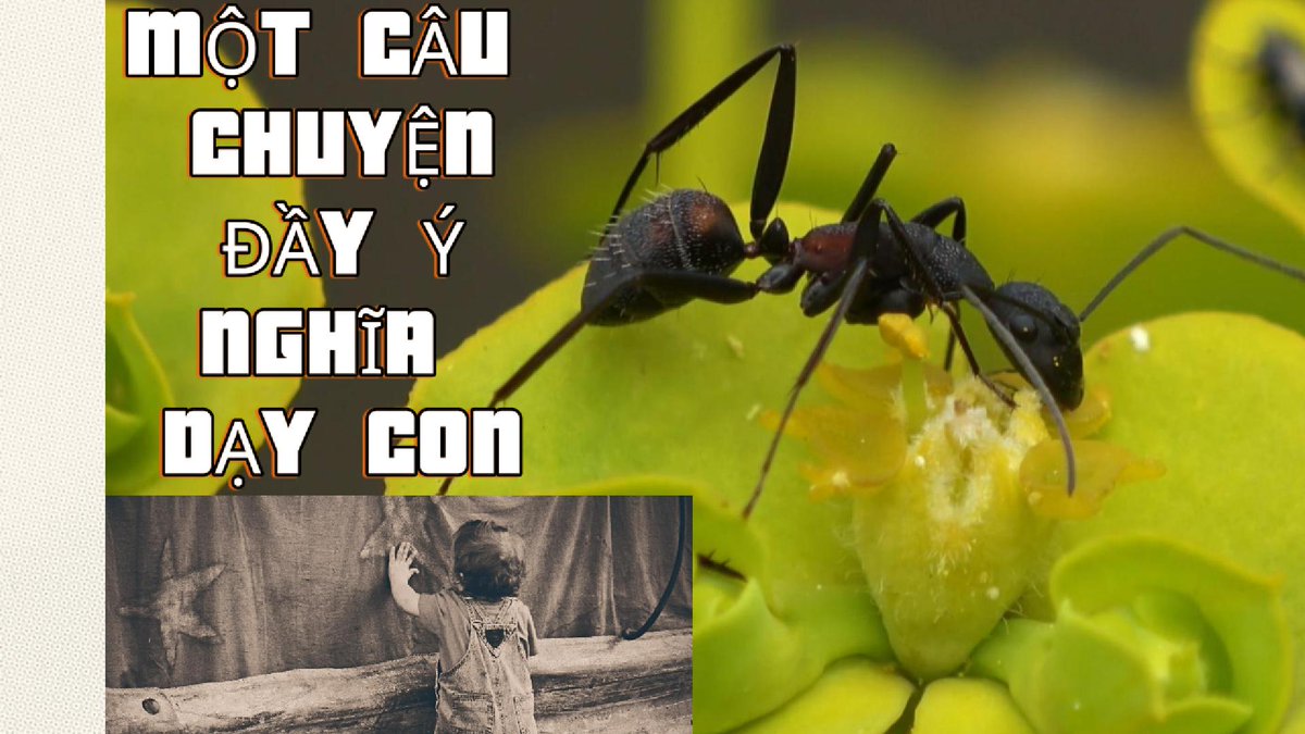 levanda23209198's tweet photo. MỘT CÂU CHUYỆN NÊN HỌC https://t.co/PMgKLKedUD