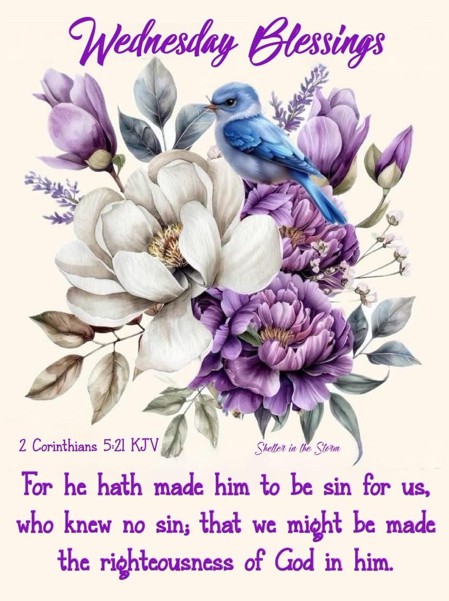 Damon Hawkins tweet media