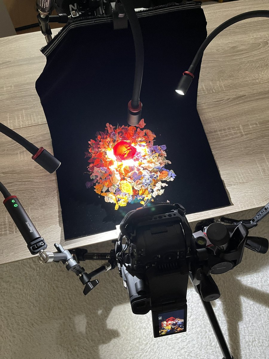 ham_is_human's tweet image. ドライフラワーとバラで色の生命力を表現

Canon
EOS R5 C
RF35mm F1.8 マクロ IS STM

SmallRig
RM 03
RF10C
P96L

#マクロ撮影 #macrophotography
#フォーカススタッキング  #focusstacking  #深度合成

作品一覧「cizucu」「Instagram」 
撮影風景「Threads」「X」「Bluesky」