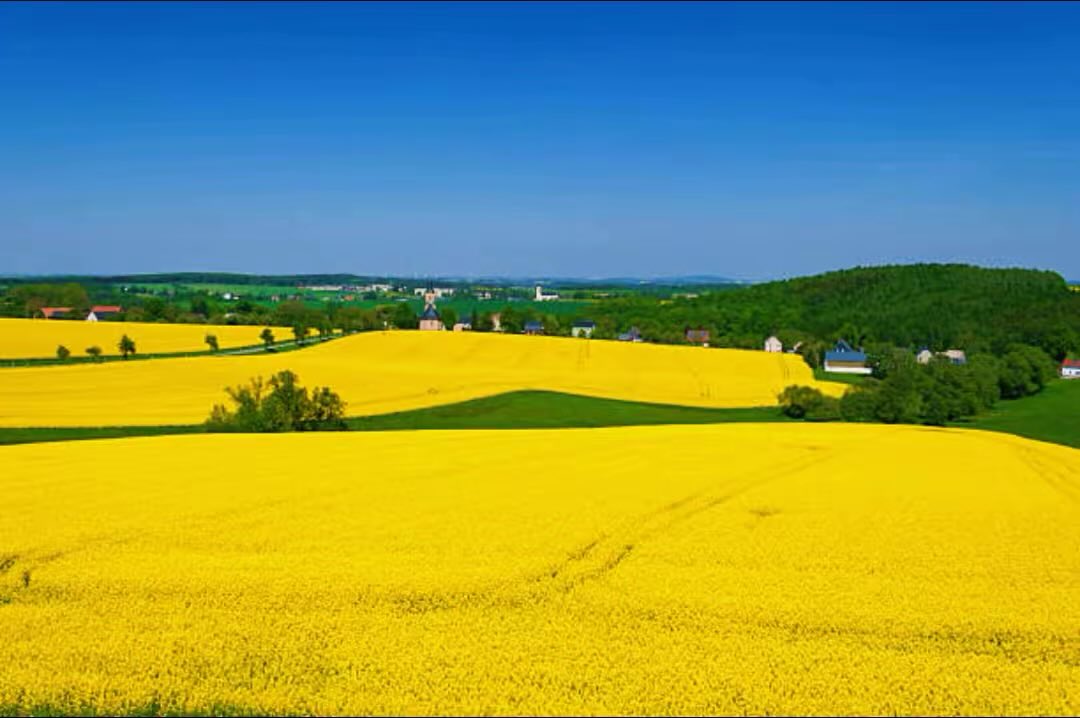 Mahmoud Hossam 🇩🇪 tweet media