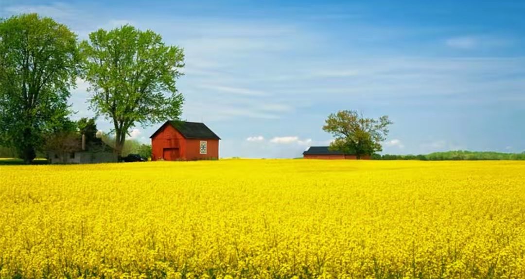 Mahmoud Hossam 🇩🇪 tweet media